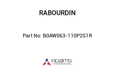 B0AW063-110P2S1R